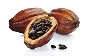 Semillas de cacao